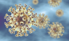 Coronavirus - Das Wichtigste in Kürze (Update: 12.01.2022)